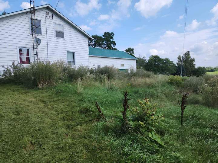 Property Maintenance Cobourg