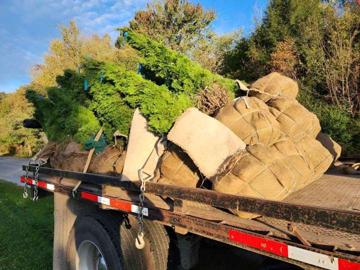 Property Maintenance, Port Hope<br/>Reliable Property Maintenance, Port Hope<br/>Professional Property Maintenance, Port Hope