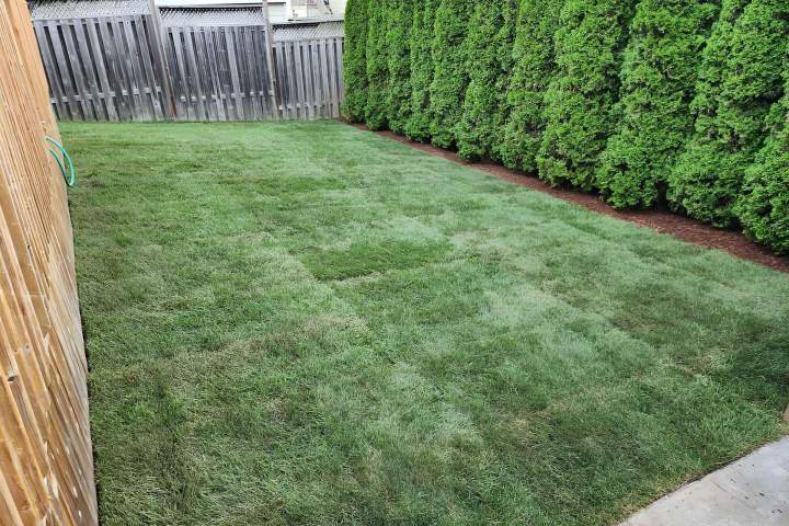 Synthetic Grass Cobourg